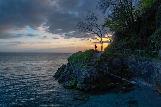 Dawn Dog Walker on the Coast.