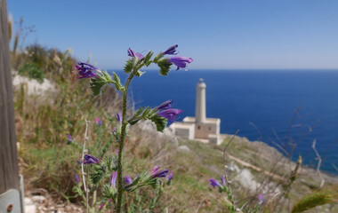 Palascia lighthouse in Apulia, Italy