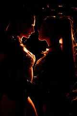 Two beautiful dancers posing in a nightclub. Contour atmospheric light. Party concept, nightclub