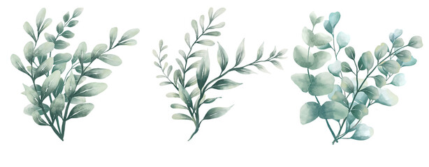 Watercolor illustration of bouquet of eucalyptus set © Link Parker