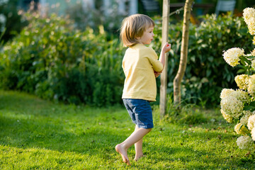 Adorable little boy having fun outdoors on sunny summer day. Kid running outdoors. Child exploring nature. Summer activities for kids.