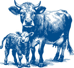 Cow Vector illustration, Hand drawn sketch livestock vector illustration