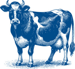 Cow Vector illustration, Hand drawn sketch livestock vector illustration