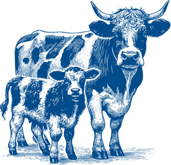 Cow Vector illustration, Hand drawn sketch livestock vector illustration
