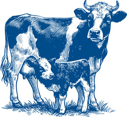 Cow Vector illustration, Hand drawn sketch livestock vector illustration