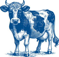 Cow Vector illustration, Hand drawn sketch livestock vector illustration