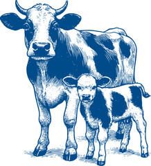 Cow Vector illustration, Hand drawn sketch livestock vector illustration