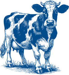 Cow Vector illustration, Hand drawn sketch livestock vector illustration