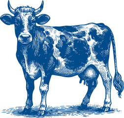 Cow Vector illustration, Hand drawn sketch livestock vector illustration