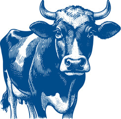 Cow Vector illustration, Hand drawn sketch livestock vector illustration