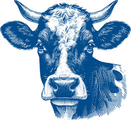 Cow Vector illustration, Hand drawn sketch livestock vector illustration