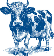 Cow Vector illustration, Hand drawn sketch livestock vector illustration