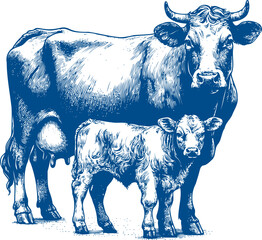 Cow Vector illustration, Hand drawn sketch livestock vector illustration