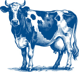 Cow Vector illustration, Hand drawn sketch livestock vector illustration