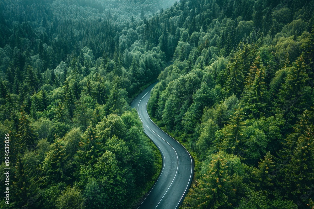 Poster a captivating forest scene with an empty winding road inviting the viewer to an unseen destination