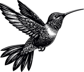 humming bird svg bundle-2.eps