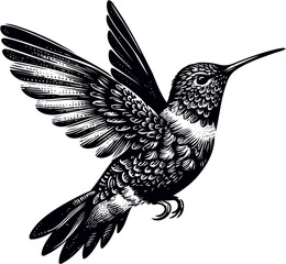 humming bird svg bundle-3.eps