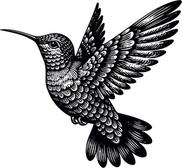 humming bird svg bundle-8.eps