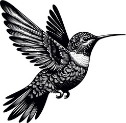 humming bird svg bundle-4.eps