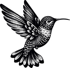 humming bird svg bundle-6.eps