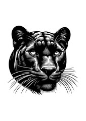 panther svg-12.ai