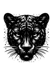 panther head vector illustration