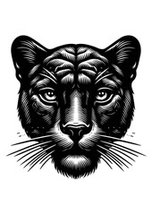 panther head vector illustration
