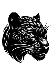 panther head vector illustration