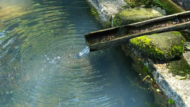 透明な水が流れる風景　井戸水