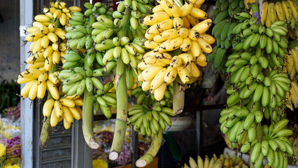 fresh fruit from street market in phnom penh