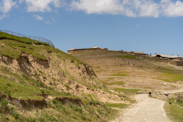Fototapeta na wymiar A dirt road winds through a grassy hillside. A man and his dog are walking down the road