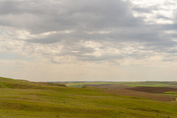 Obraz premium A large, open field with a cloudy sky in the background. The sky is mostly gray, with some white clouds scattered throughout. The field is lush and green, with no visible signs of human activity