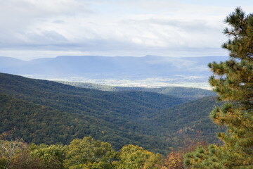 Autumn morning in the mountins