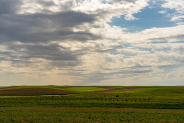 A field of grass with a cloudy sky in the background. The sky is mostly cloudy with a few patches of blue