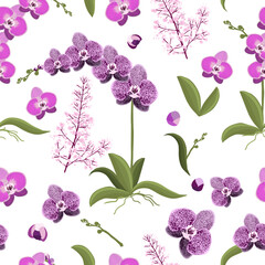Orchid seamless pattern , Hand drawing. Not AI. Vector illustration