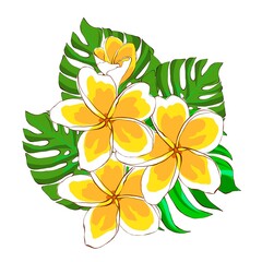 Floral arrangement of tropical flowers and leaves, hand drawn illustration on a white background. Exotic plumeria flowers and monstera leaves. Design for printing on packaging and fabric design.