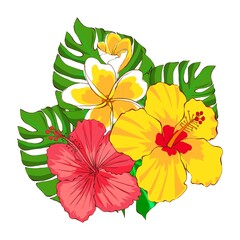 Floral arrangement of tropical flowers and leaves, hand drawn illustration on a white background. Exotic plumeria flowers and red and yellow hibiscus. Design for printing for packaging