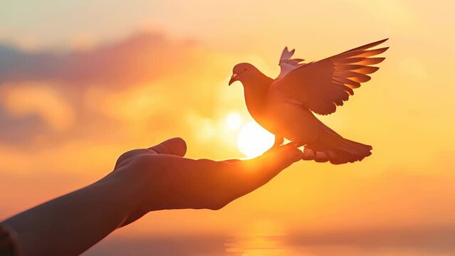 A hand holding a bird with a sun in the background