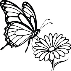 Monarch butterfly flying coloring pages. Butterfly on flower coloring pages