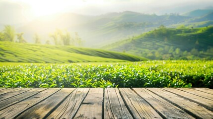 Serene Tea Garden Landscape: A Tranquil Oasis of Greenery Set Against a Rustic Wood Grain Background