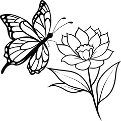 Monarch butterfly flying coloring pages. Butterfly on flower coloring pages