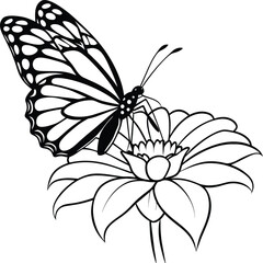 Monarch butterfly flying coloring pages. Butterfly on flower coloring pages