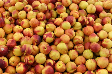 Fruits and vegetables are sold at a bazaar in Israel.