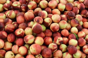 Fruits and vegetables are sold at a bazaar in Israel.