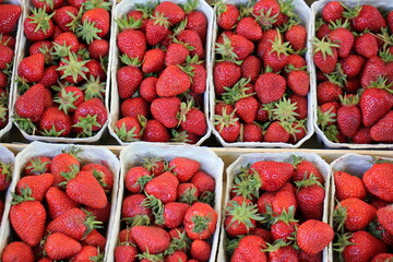 Fruits and vegetables are sold at a bazaar in Israel.