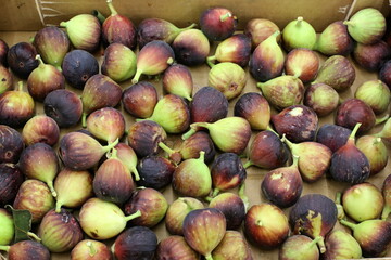 Fruits and vegetables are sold at a bazaar in Israel.