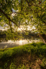 Río con sol y árboles