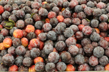 Fruits and vegetables are sold at a bazaar in Israel.