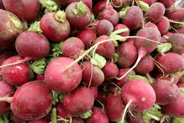 Fruits and vegetables are sold at a bazaar in Israel.