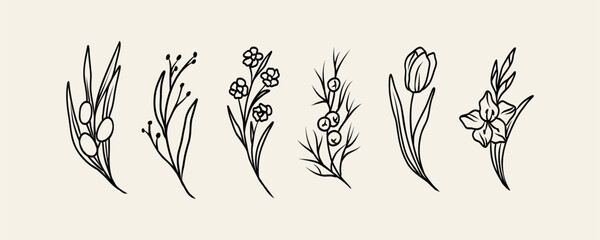 Obraz premium Line art flowers and branches collection